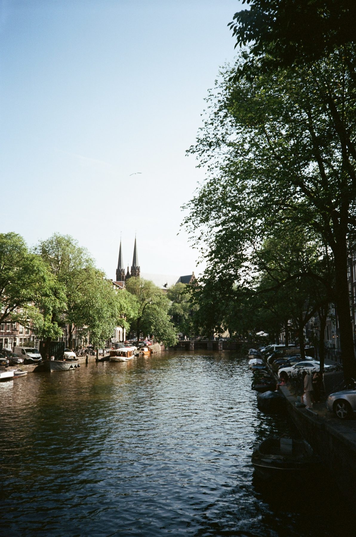 A tree-lined Amsterdam canal with church spires rising beyond