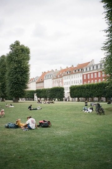 Picnickers on the lawn of the King's Garden