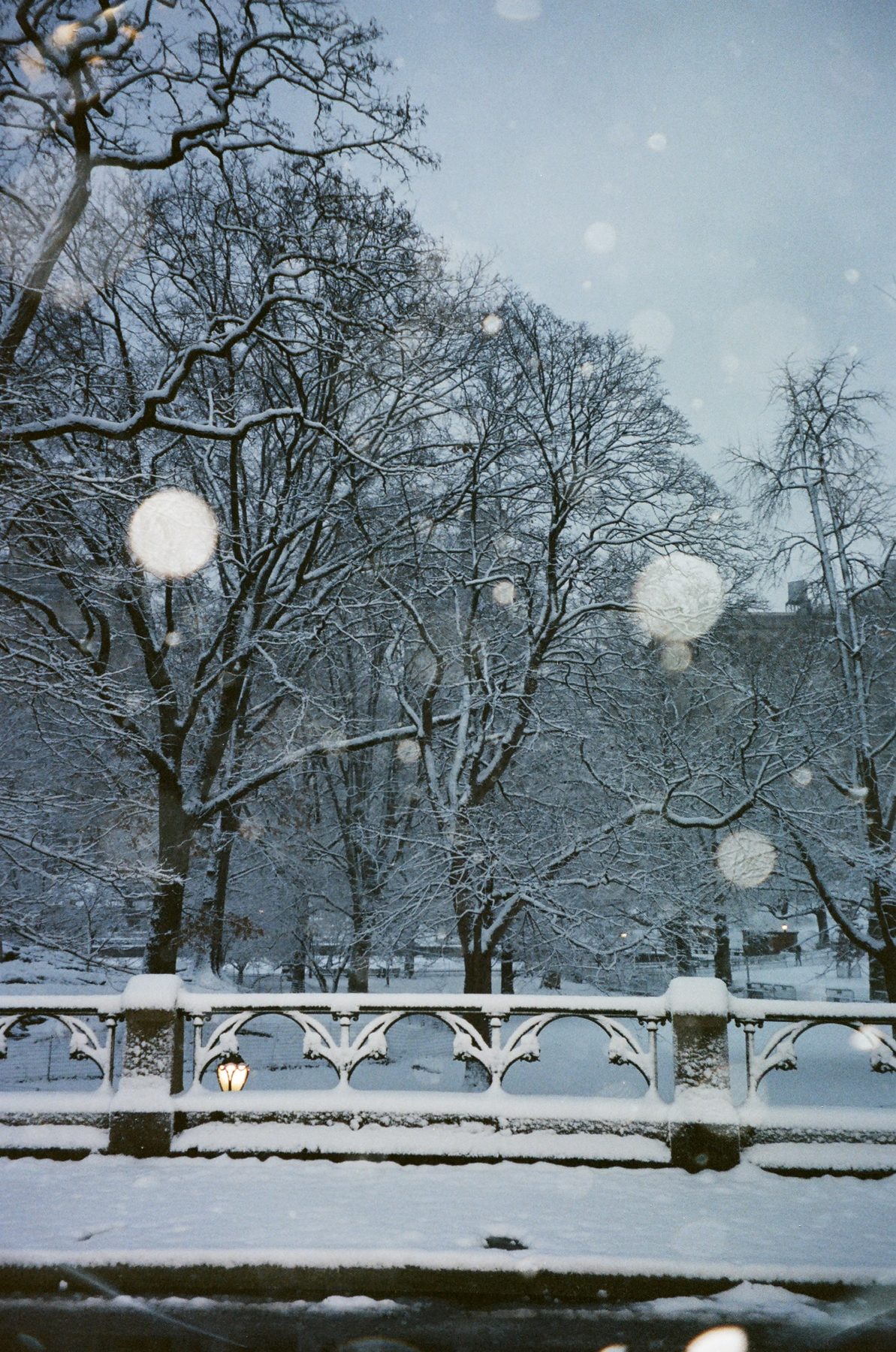 A snowy cast-iron railing below bare trees, one lamp lit behind it