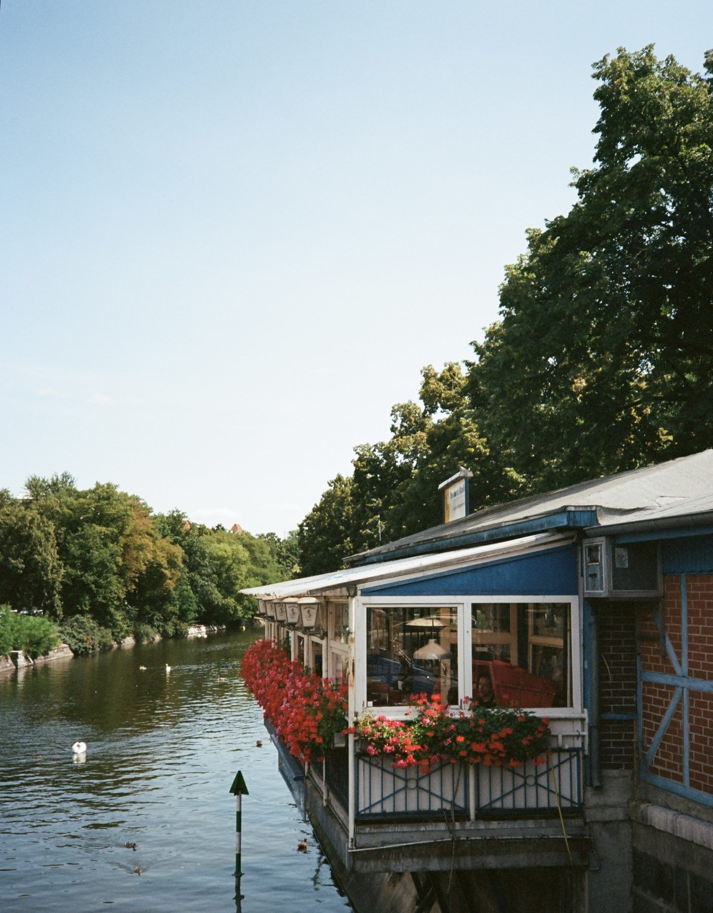 A canal-side restaurant hung with red geraniums above the Landwehr Canal, a swan on the water