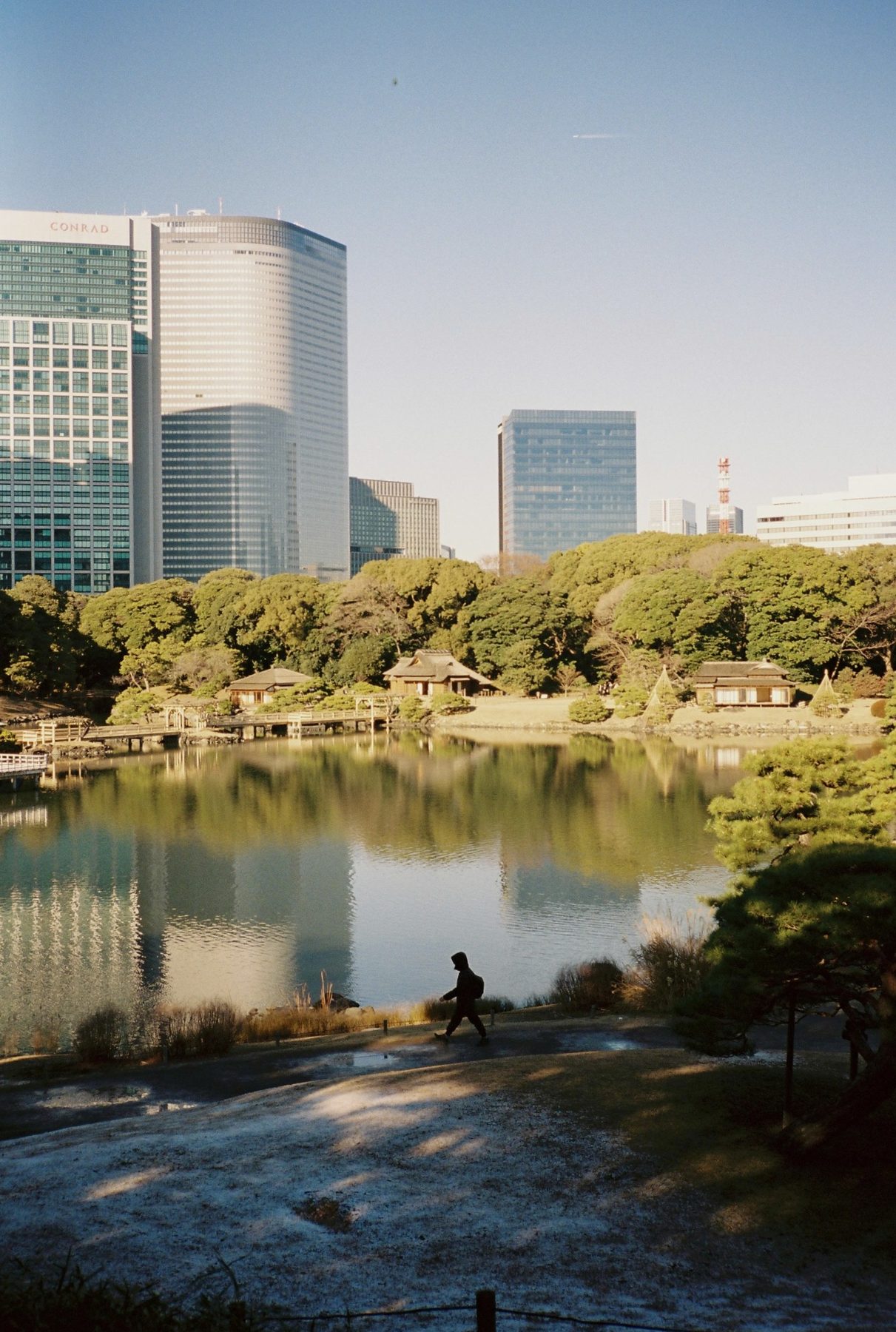 A lone walker by a garden pond, glass towers reflected behind teahouses