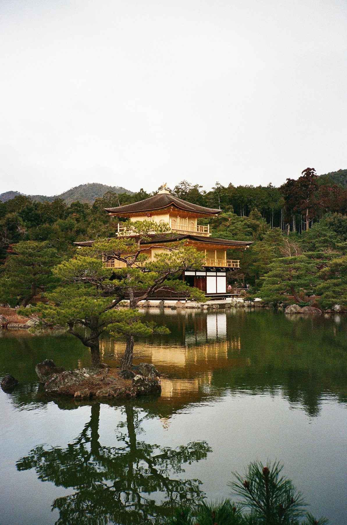 A golden pavilion and pine island reflected in still green water