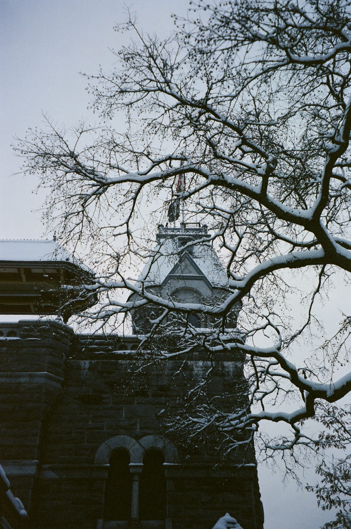 Belvedere Castle tower glimpsed through snow-covered branches