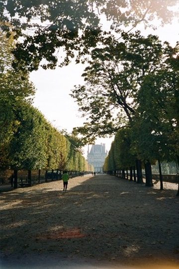 A runner in the Tuileries garden