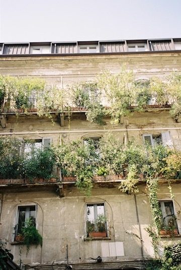 Balconies overflowing with plants on an old Milan facade
