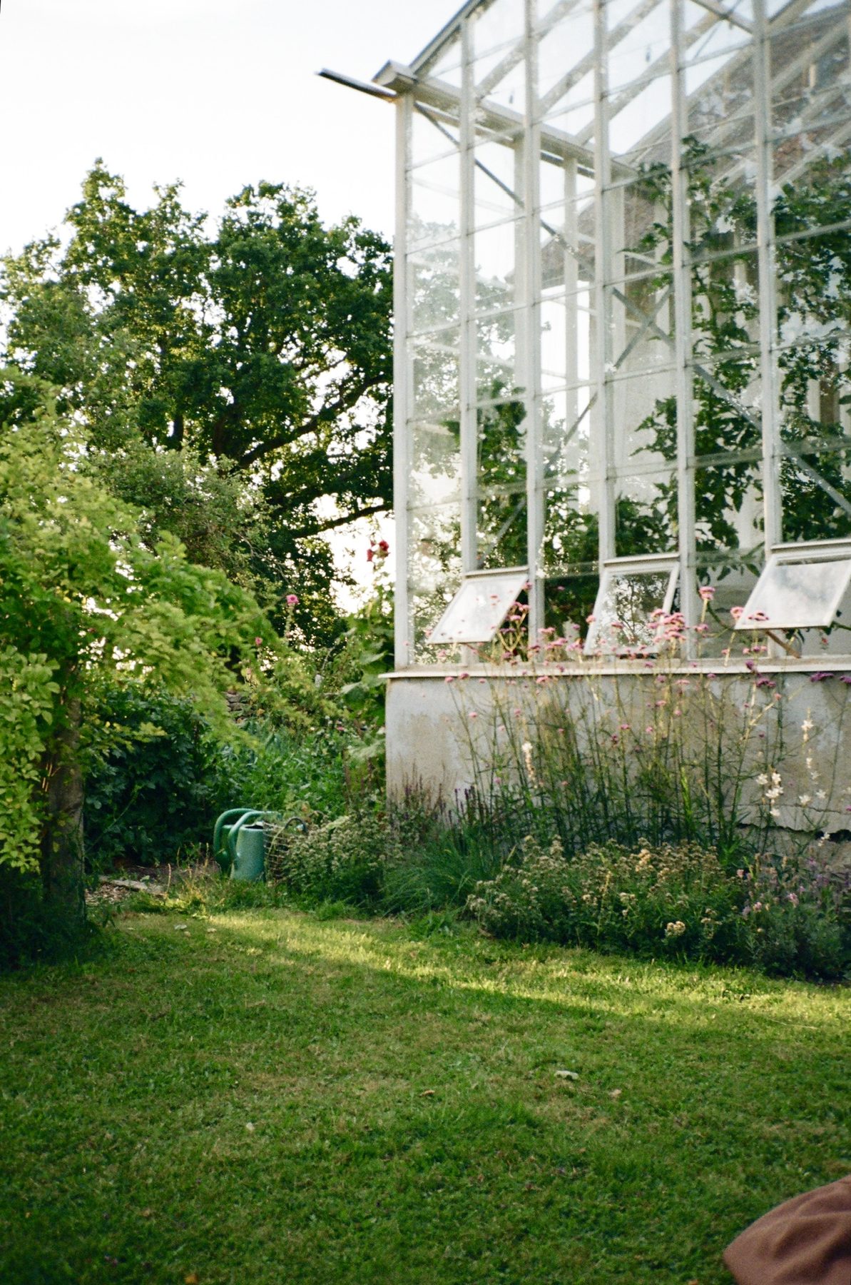 A white glasshouse beside an overgrown garden with a green watering can