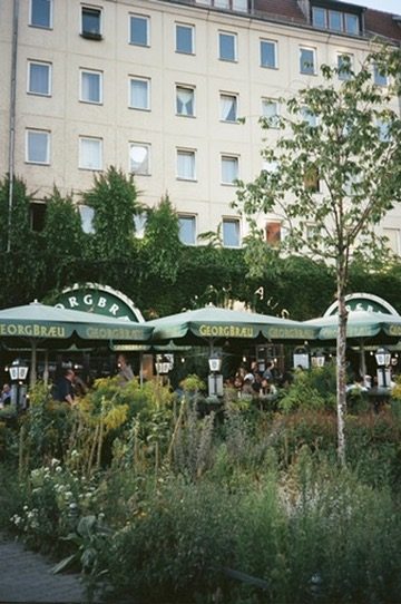Green beer-garden umbrellas behind a wildflower bed