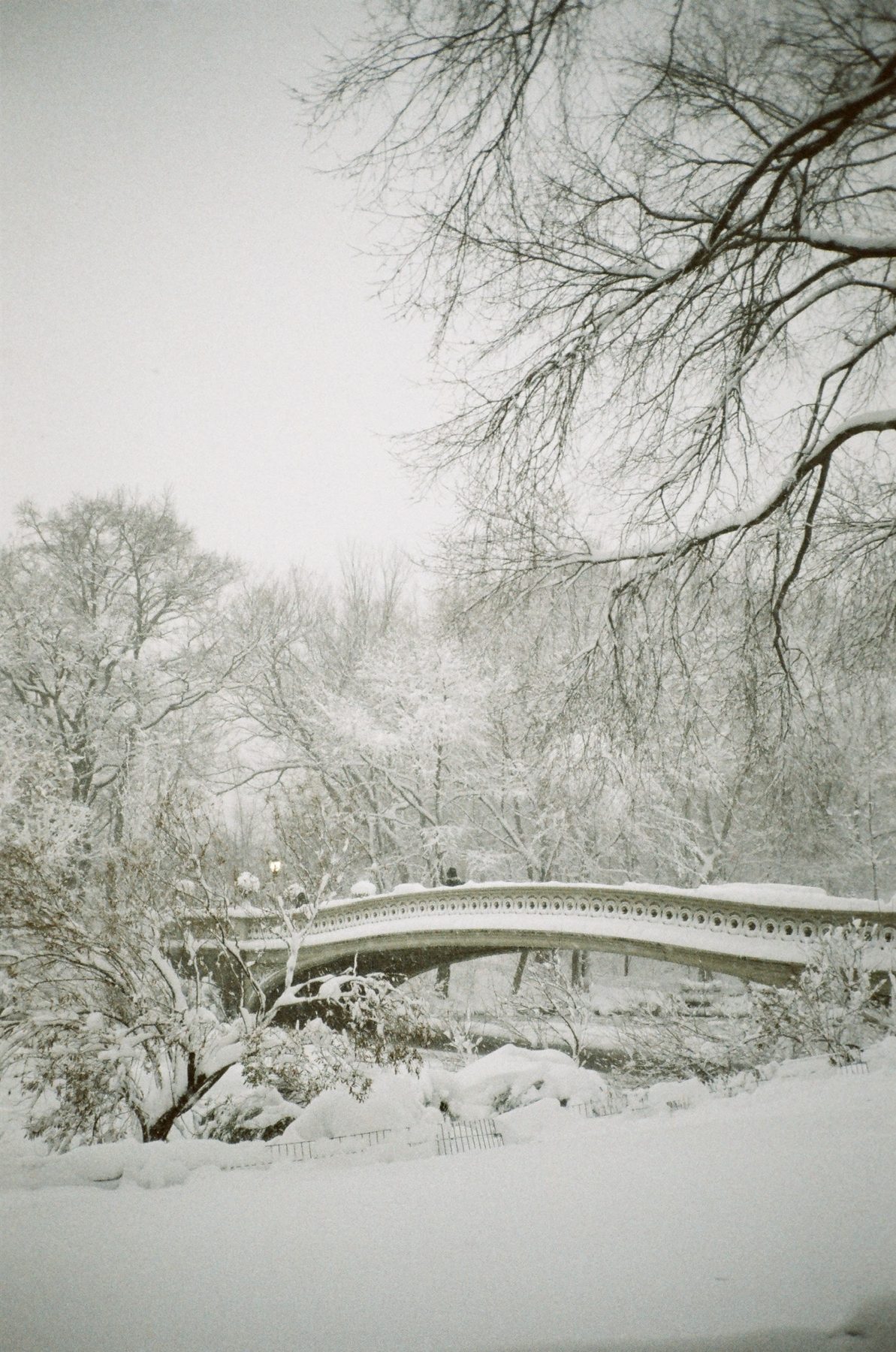 Bow Bridge in a whiteout beneath heavy snow-laden branches