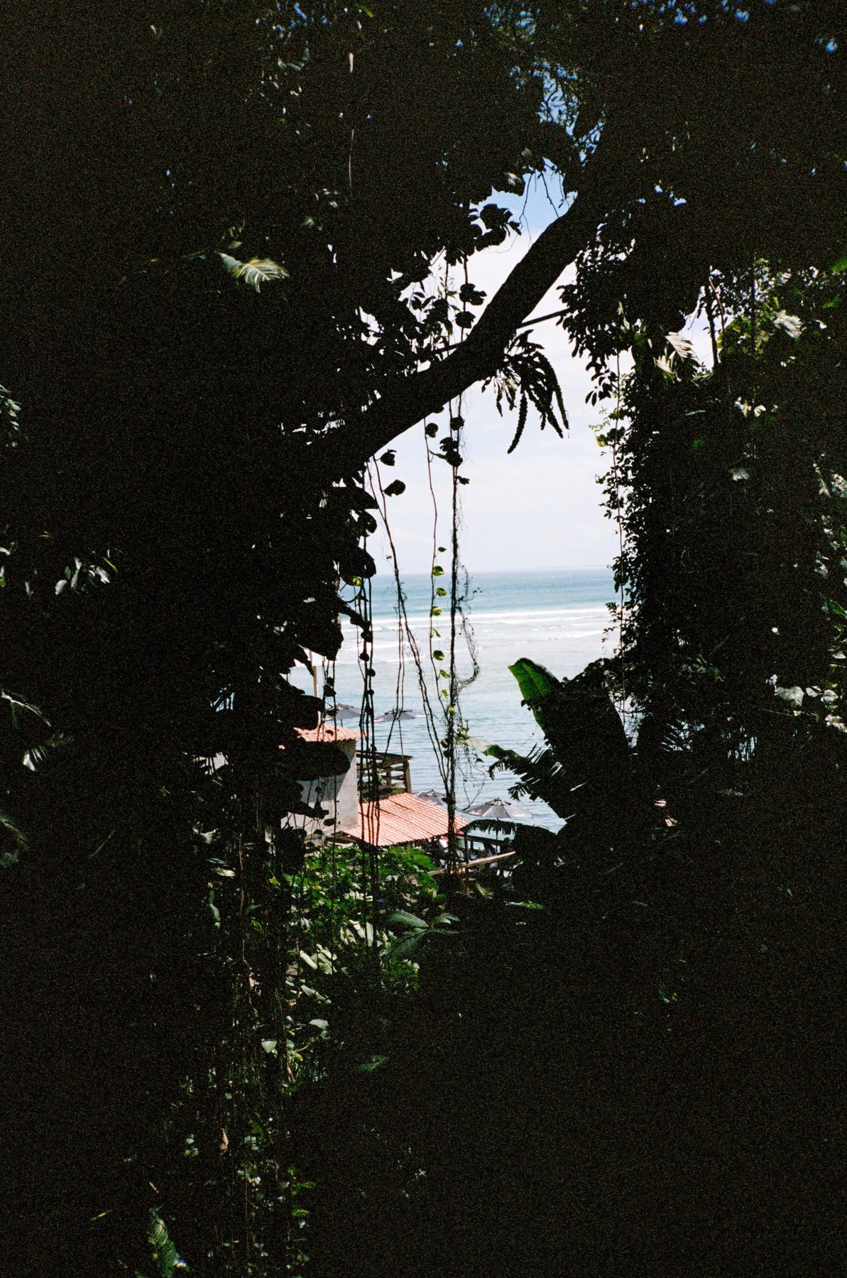 The sea glimpsed through a dark window of jungle and vines