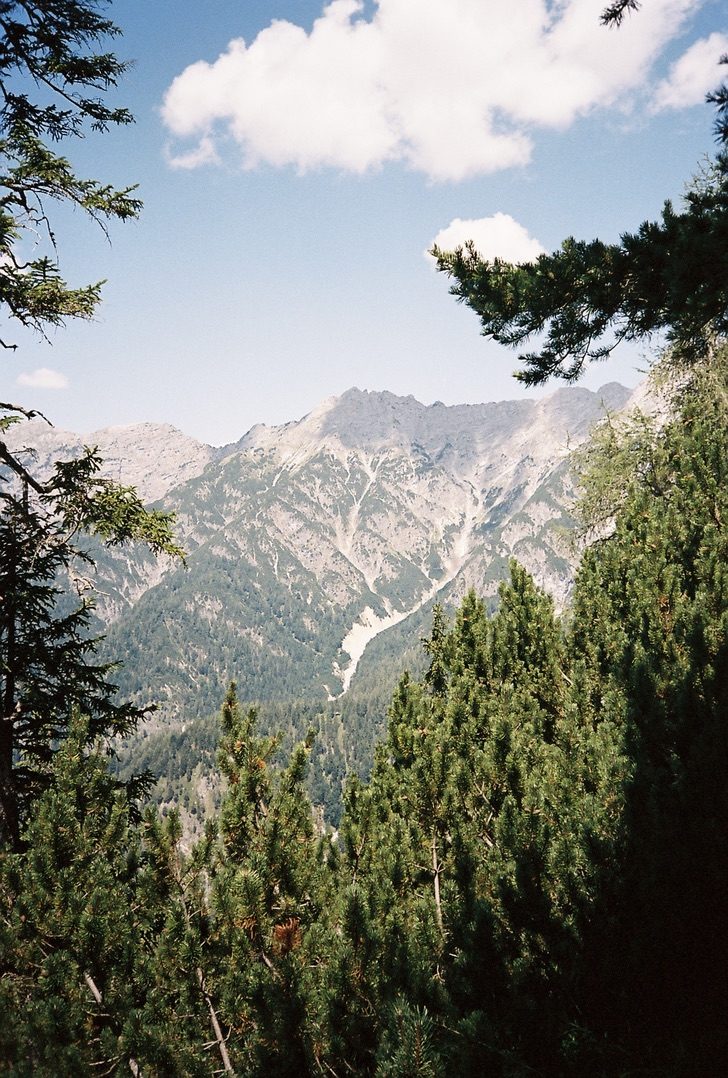Jagged grey peaks seen between dark pines under bright clouds