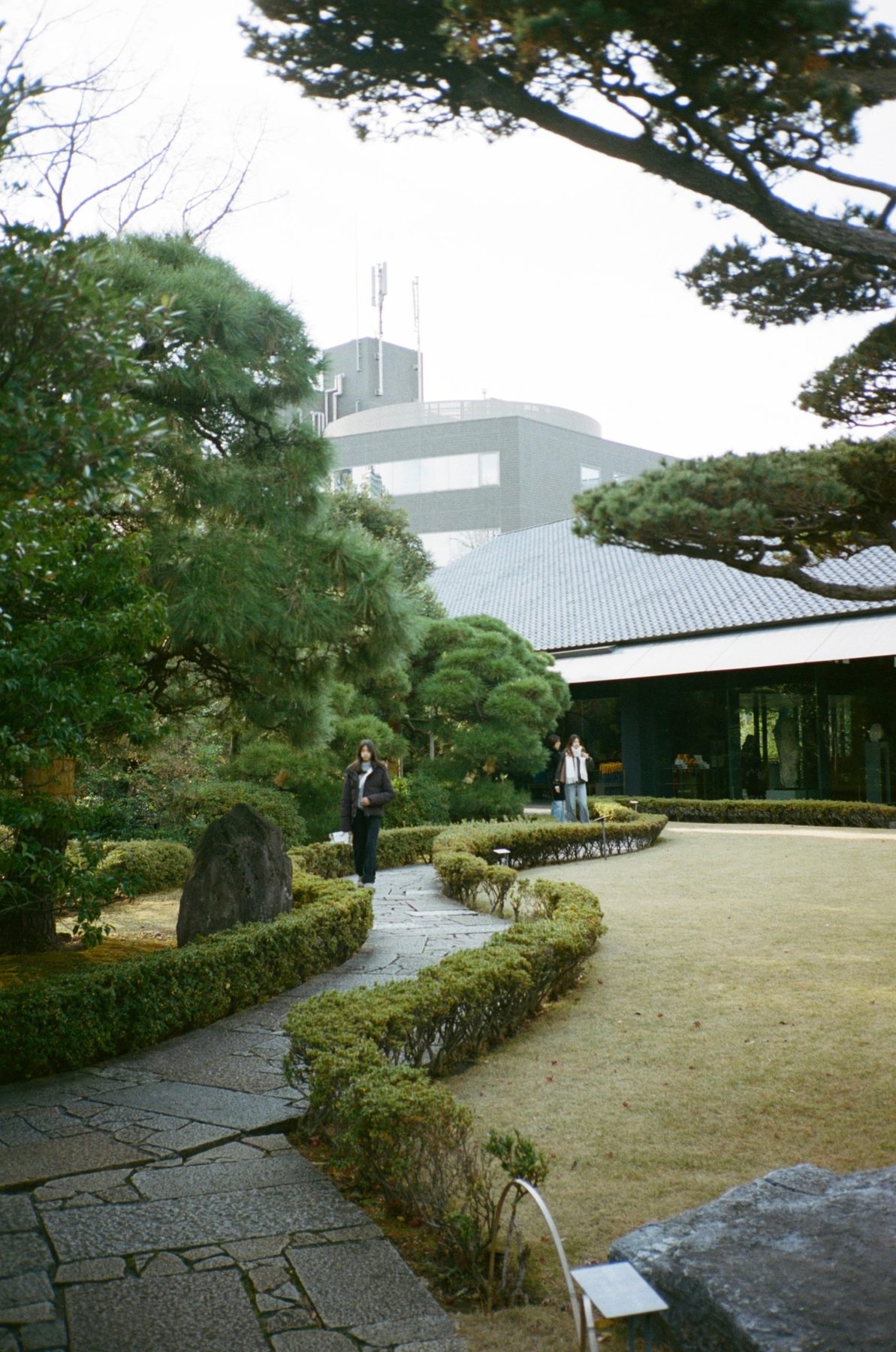 A woman walking a winding stone path through a pine garden